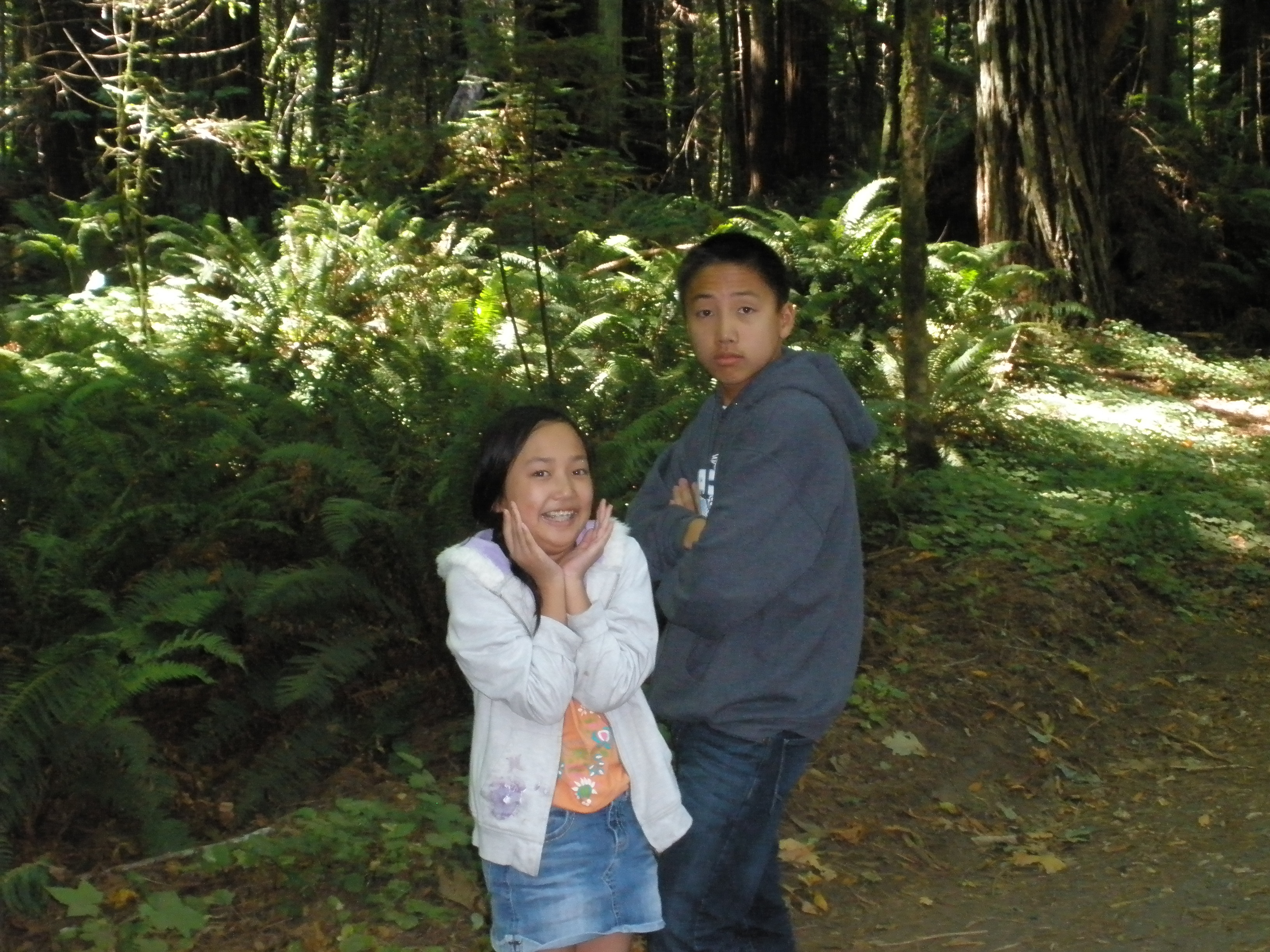 Summer, 2012, with Kara, Andrew and Madeline - Avenue of the Giants - 02